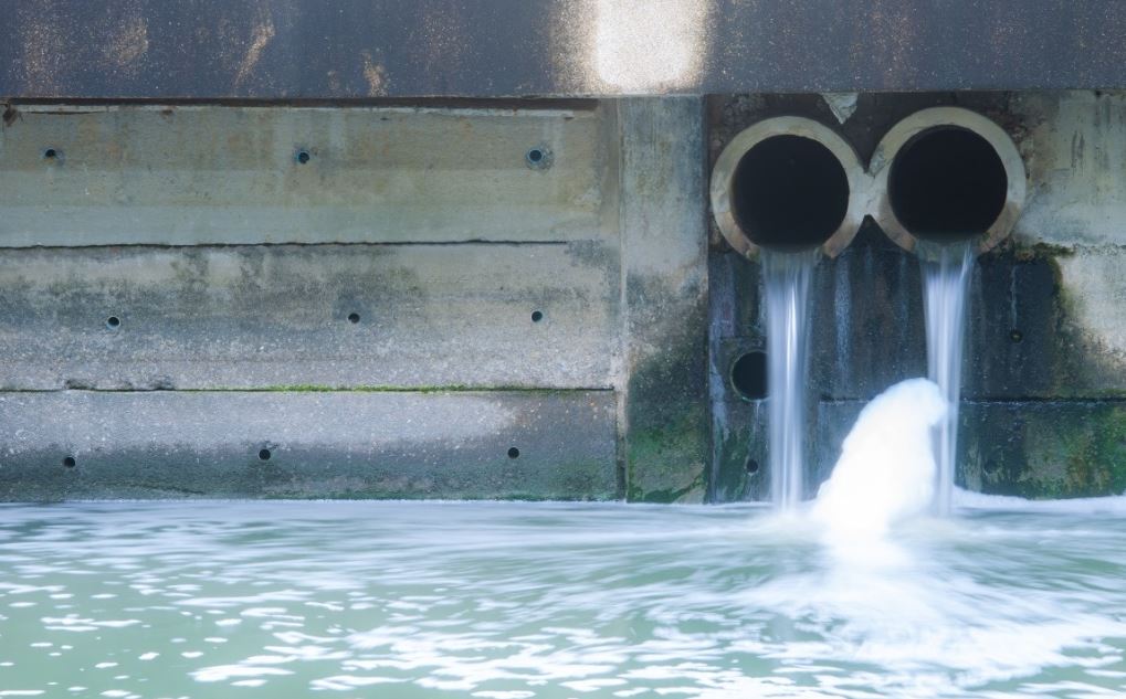 紫膠廢水 紫膠廢水